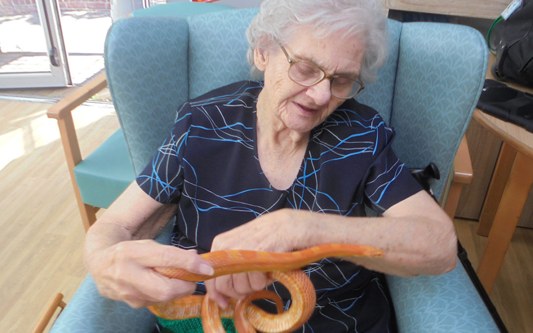 Creepy crawlies come to The Old Downs Residential Care Home