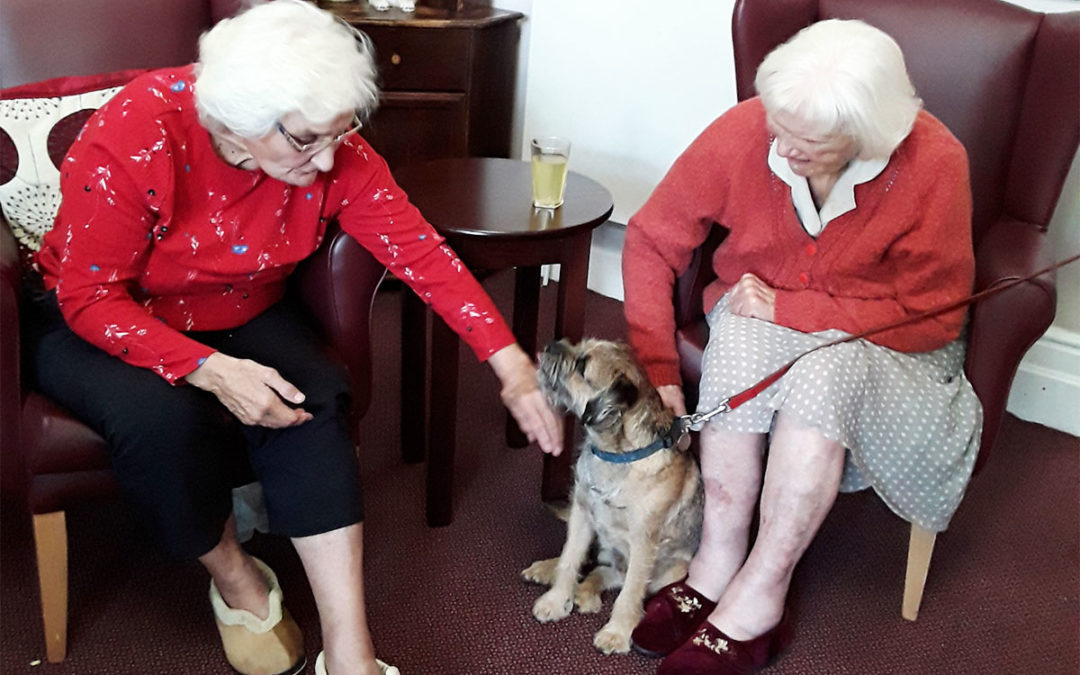 Sweet treats and a furry friend at The Old Downs Residential Care Home