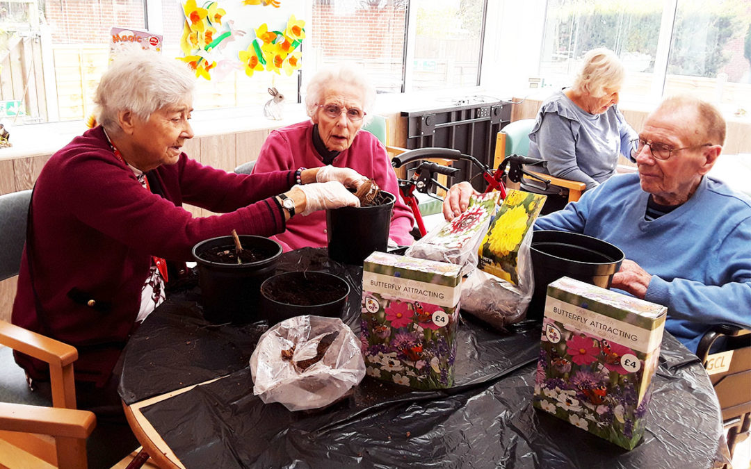 Gardening Club prepares for summer at The Old Downs Residential Care Home