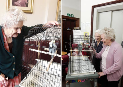 The Old Downs Residential Care Home residents admiring two new budgies at their Home