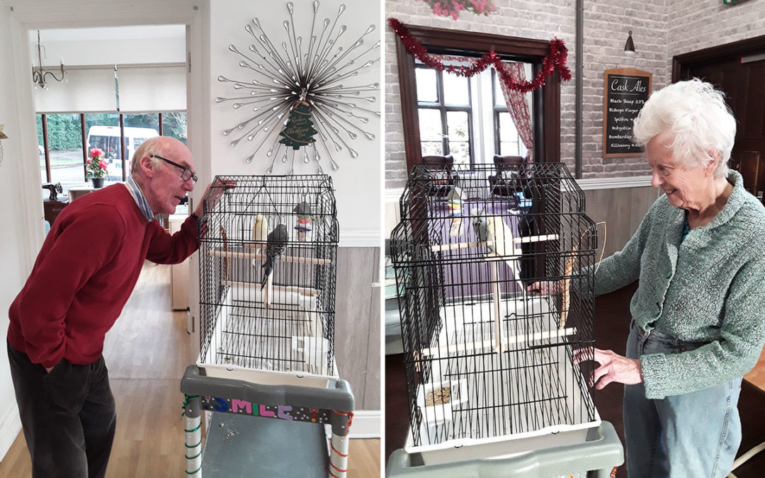 Two new feathered friends at The Old Downs Residential Care Home