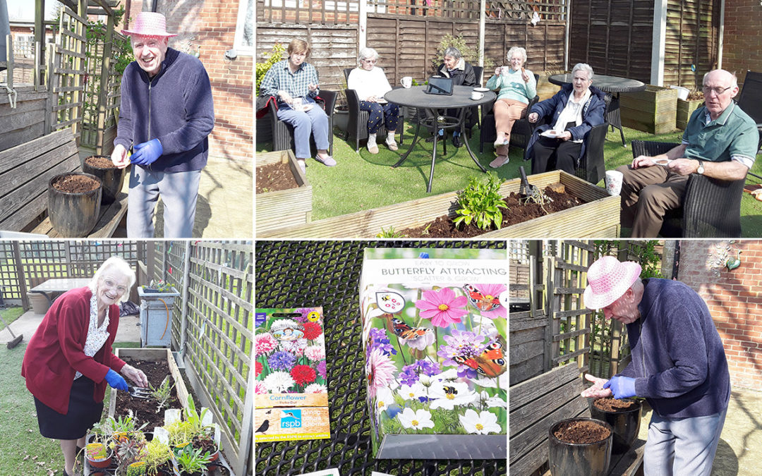 Gardening Club residents plant seeds at The Old Downs Residential Care Home