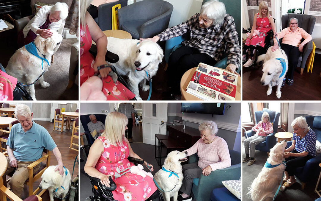Barney brings a smile to The Old Downs Residential Care Home residents