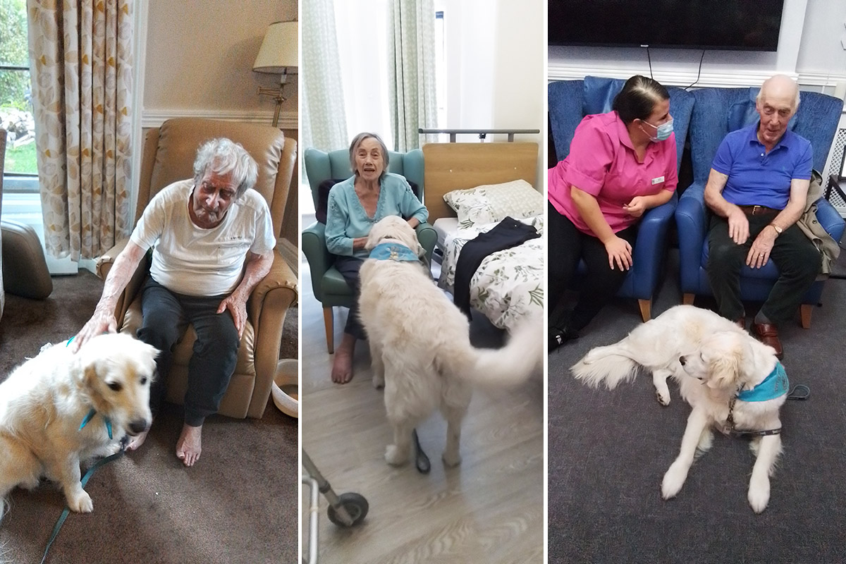 Residents with Barney the dog at The Old Downs Residential Care Home