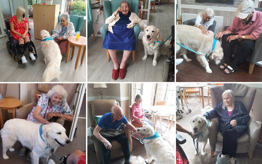 Hazel brings Barney the dog to The Old Downs Residential Care Home