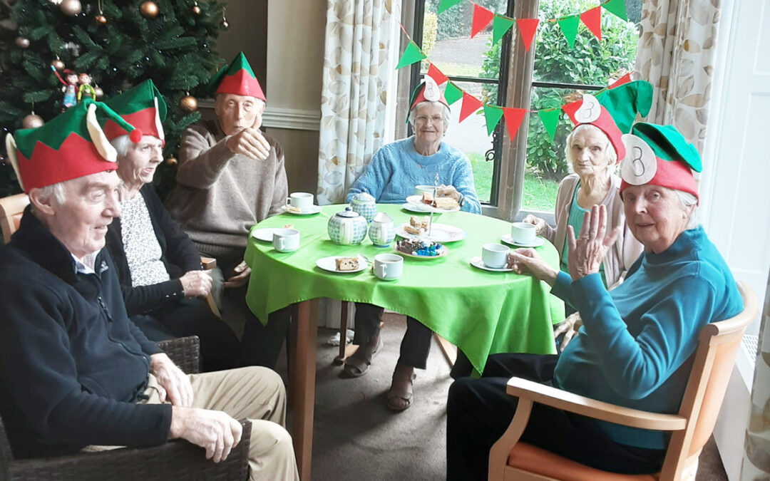 Elf Day celebrations at The Old Downs Residential Care Home