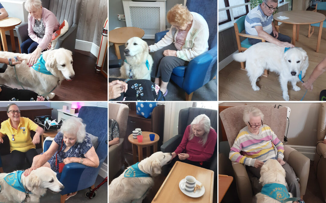 Hazel and Barney visit The Old Downs Residential Care Home
