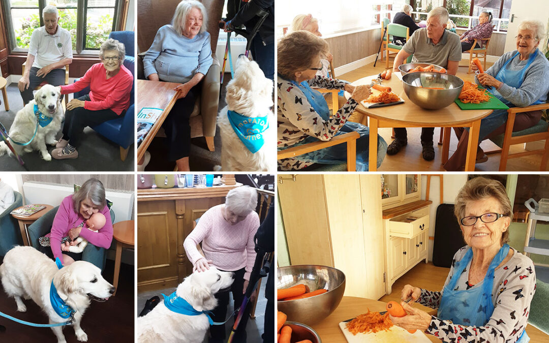 A visit from Barney and Helping hands session at The Old Downs Residential Care Home
