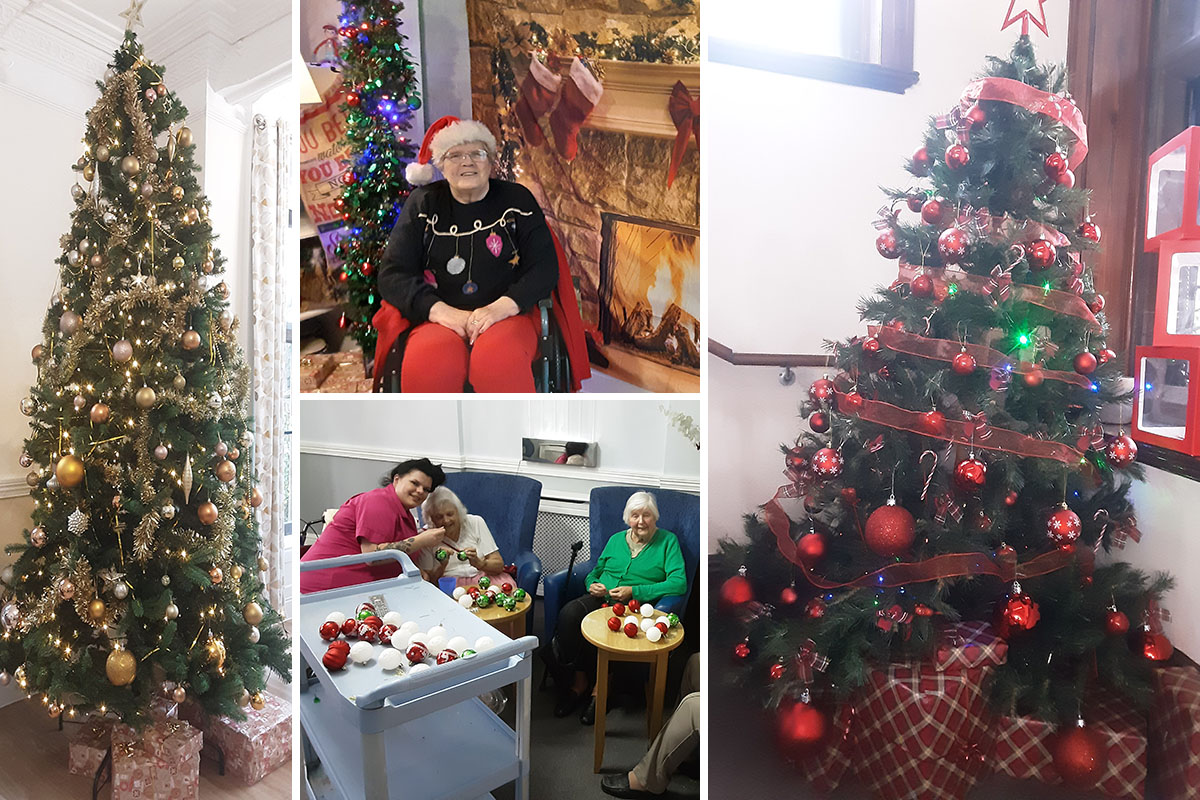 Festive trees at The Old Downs Residential Care Home