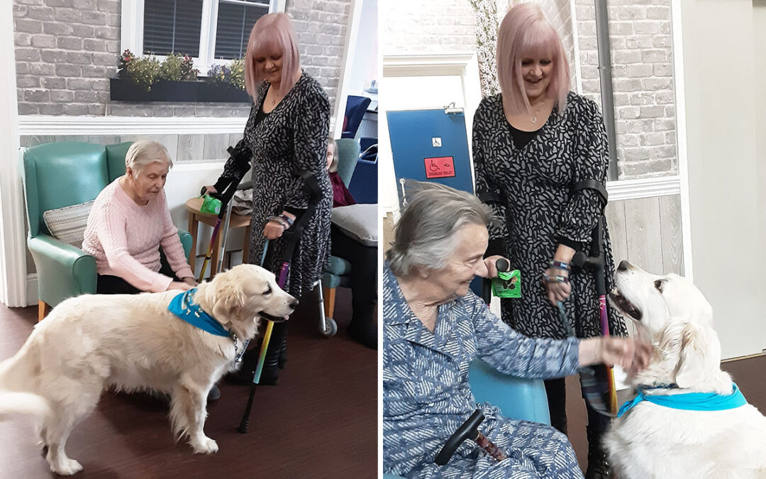 Pet Therapy joy at The Old Downs Residential Care Home