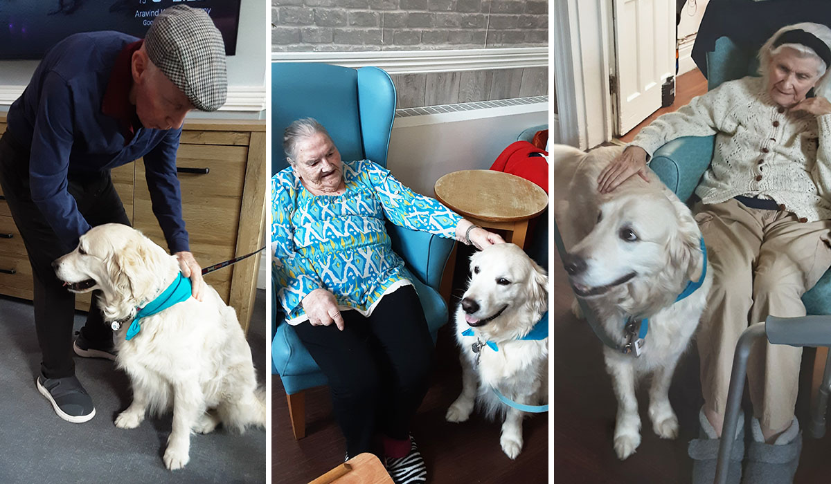 Enjoying Barney the dog at The Old Downs Residential Care Home