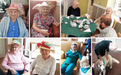 Grand National hats and a visit from Barney at The Old Downs Residential Care Home