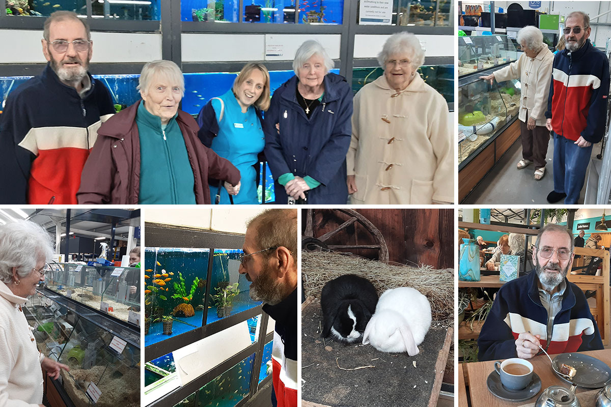 Residents from The Old Downs Residential Care Home enjoy Garden Centre outing