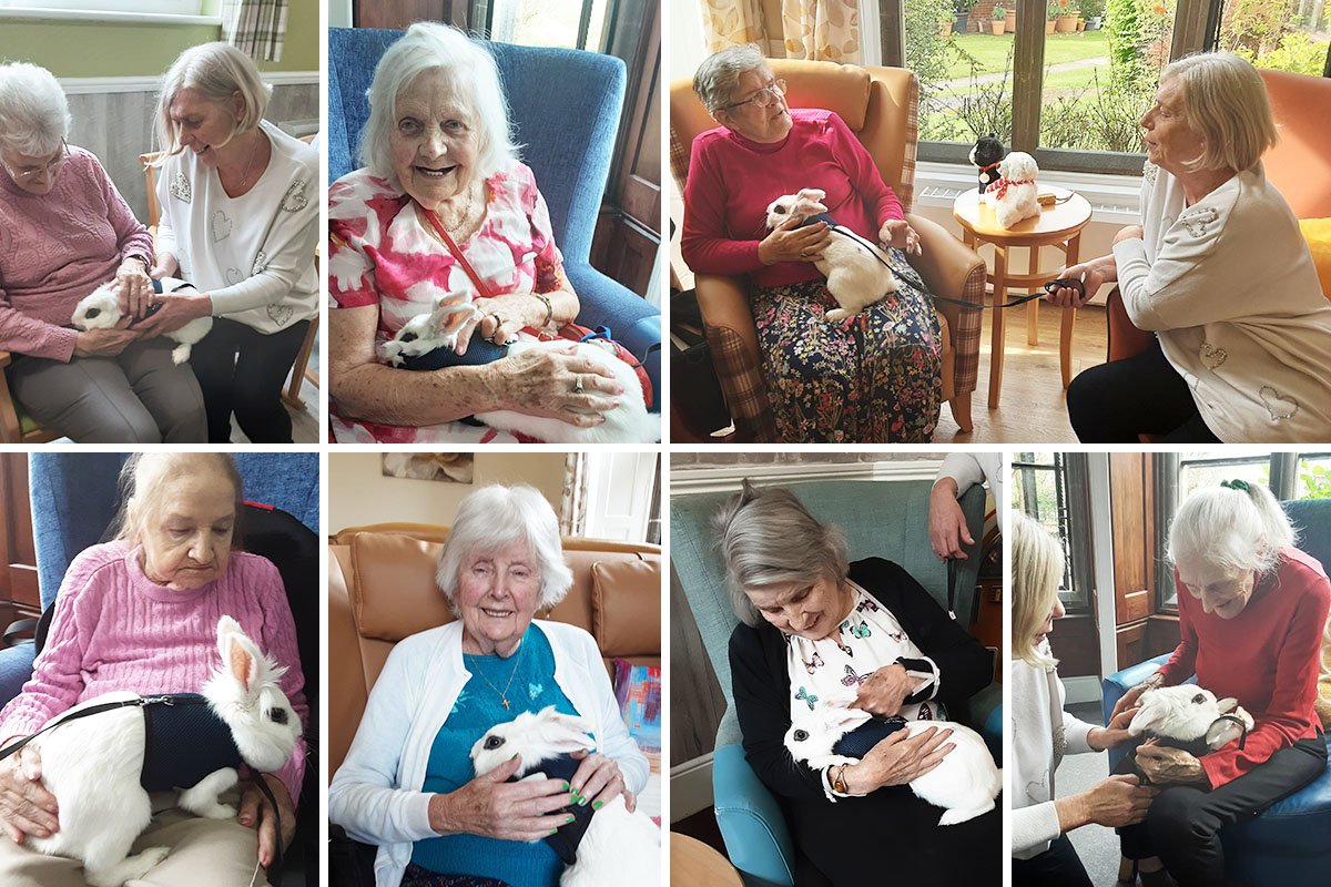 Celebrating pets at The Old Downs Residential Care Home