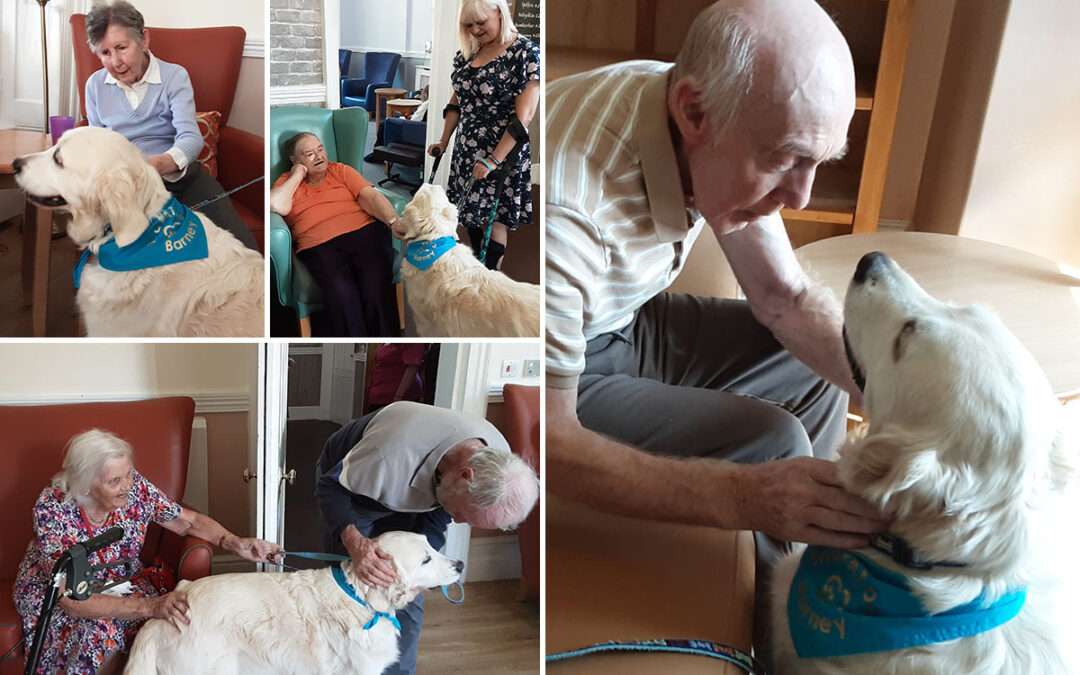 Pet Therapy dog Barney visits The Old Downs Residential Care Home