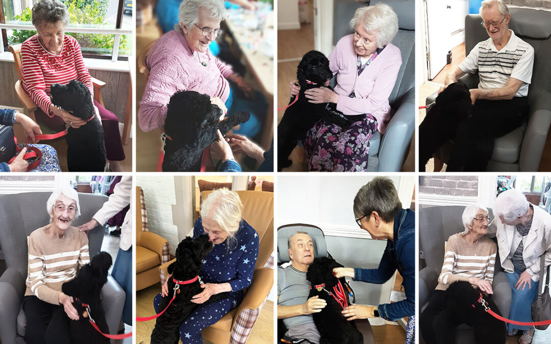 Cuddles with Sooty at The Old Downs Residential Care Home
