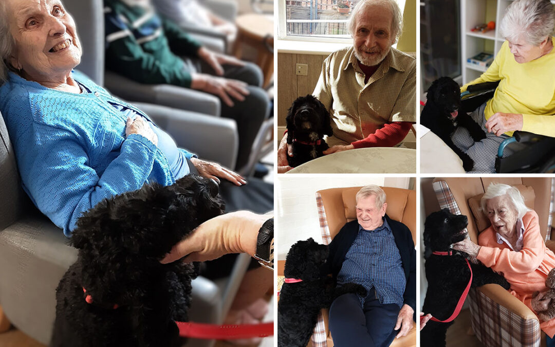 The Old Downs Residential Care Home residents enjoy time with Suki