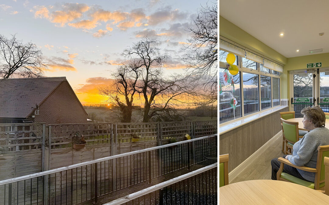 Finding joy in simple moments at The Old Downs Residential Care Home