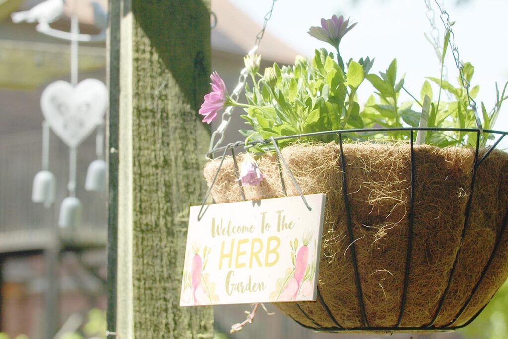 The back garden at The Old Downs Residential Care Home