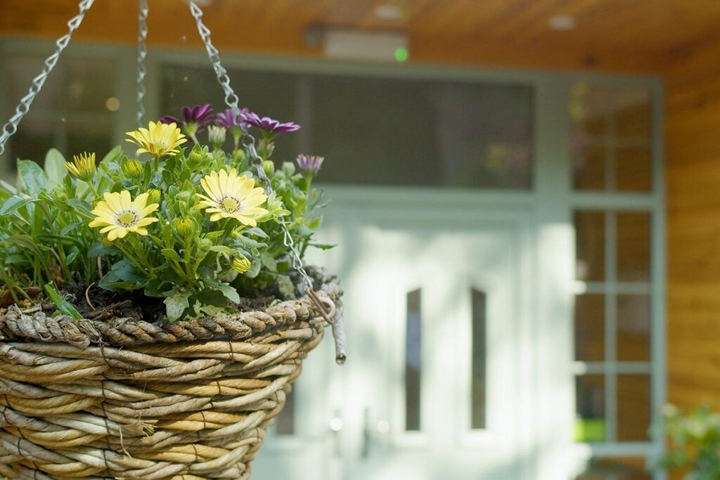 The front of The Old Downs Residential Care Home