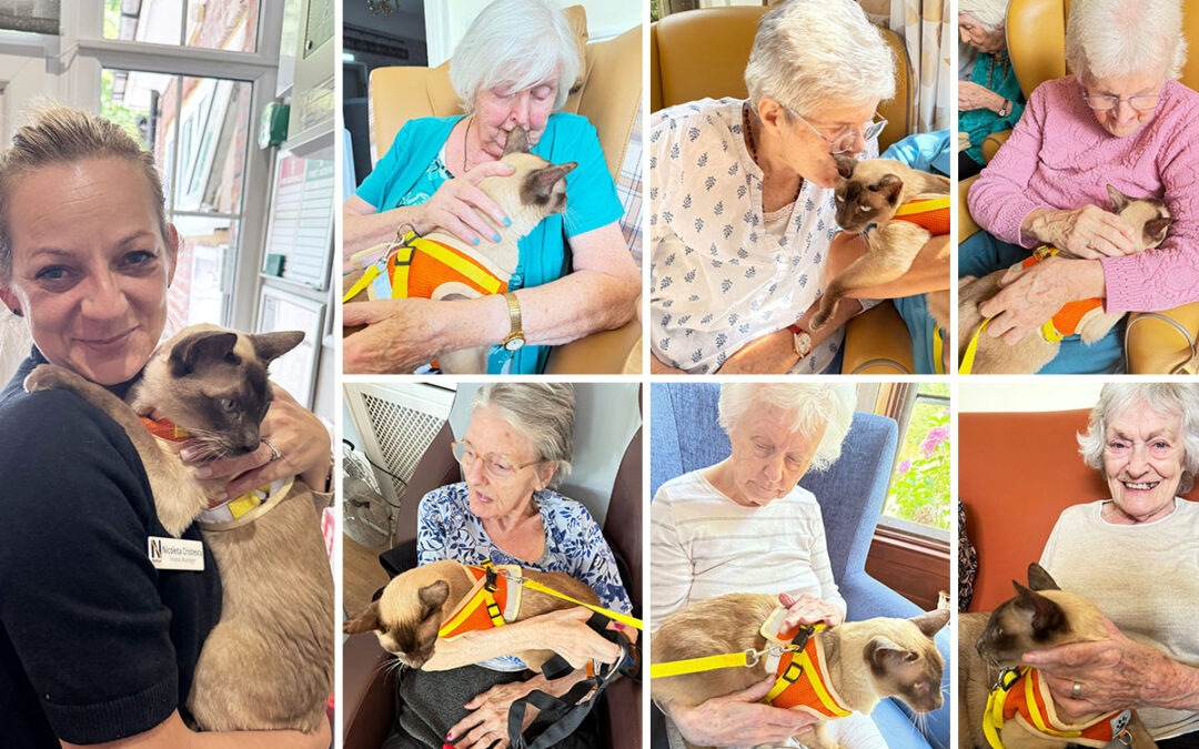 Paws and purrs at The Old Downs Residential Care Home