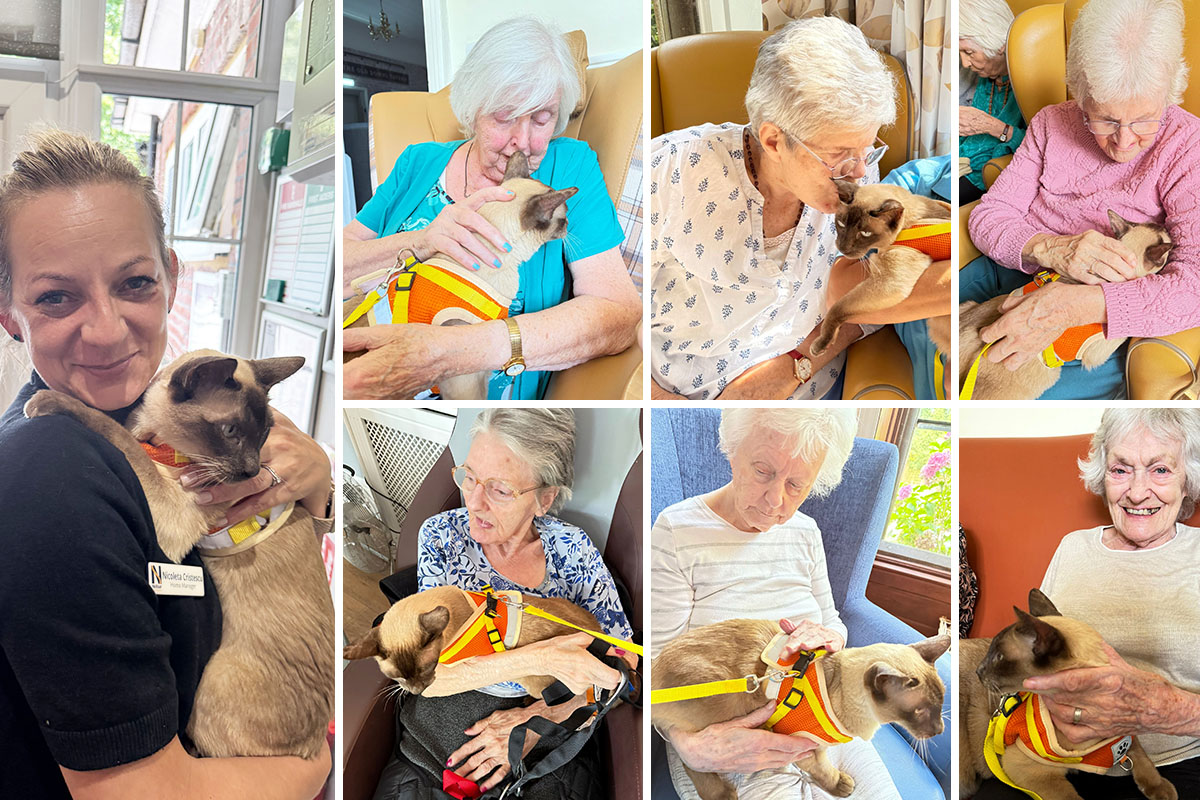 Paws and purrs at The Old Downs Residential Care Home
