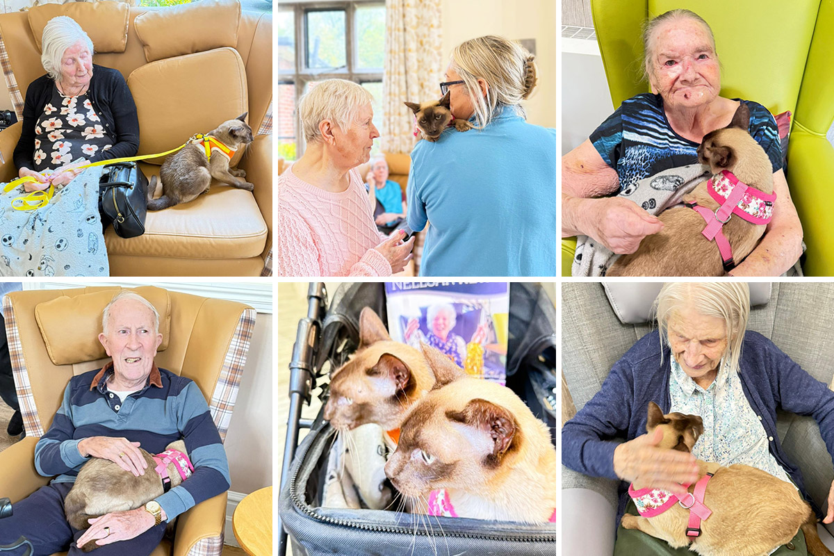 Double the cats, double the smiles at The Old Downs Residential Care Home