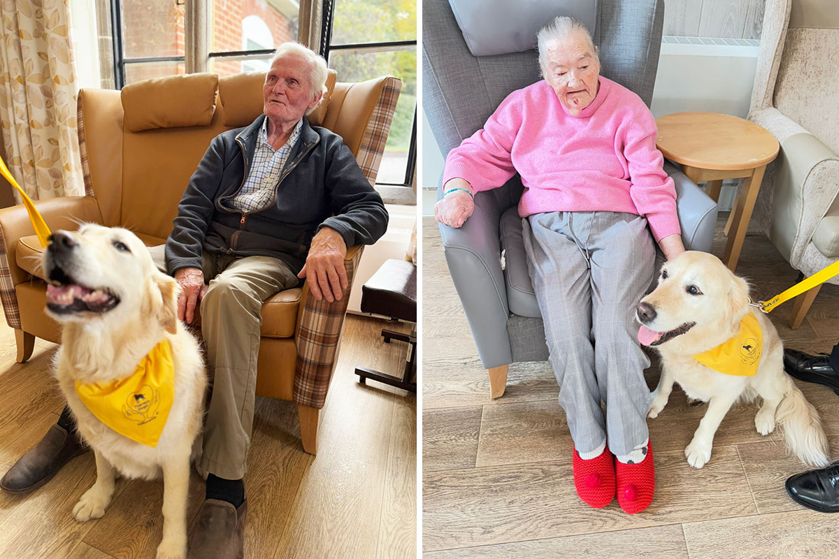 Residents at The Old Downs Residential Care Home enjoying cuddles and smiles with Daisy the therapy dog during her weekly visit.