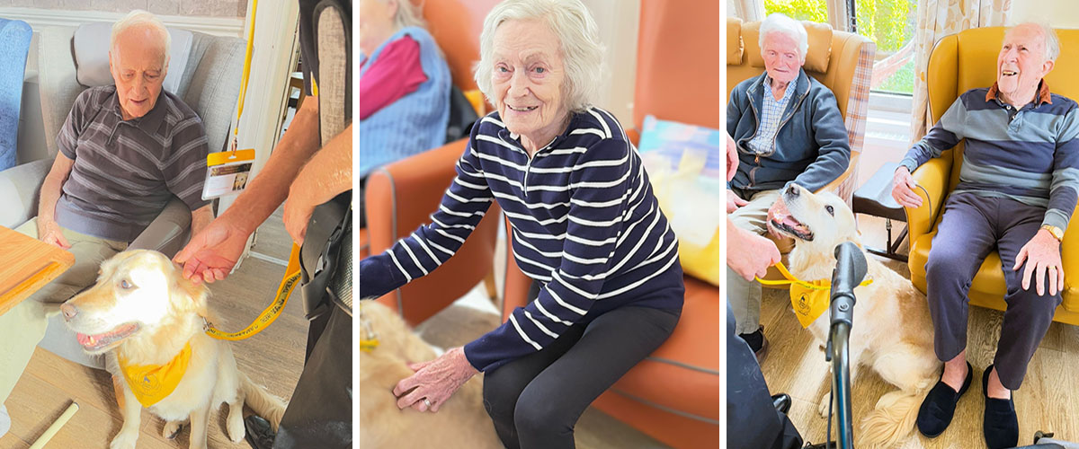 Our residents at The Old Downs Residential Care Home petting Daisy the golden retriever as part of their regular Pet Therapy sessions.