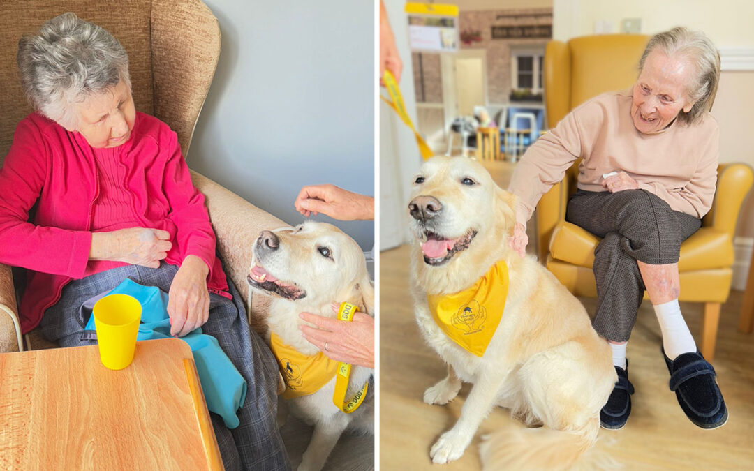 The Old Downs Residential Care Home residents love Pet Therapy with Daisy