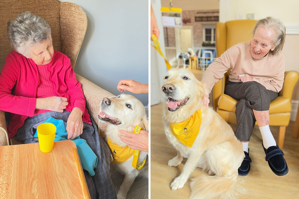 The Old Downs Residential Care Home residents love Pet Therapy with Daisy