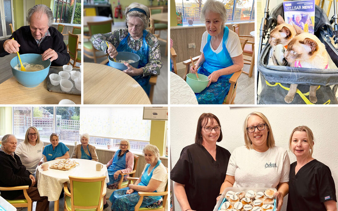 Cupcakes with compassion at The Old Downs Residential Care Home