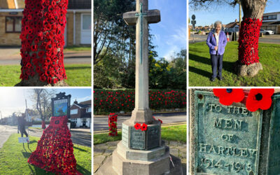 The Old Downs resident visits the Hartley War Memorial, surrounded by trees and fences decorated with hundreds of handmade red felt poppies for Remembrance Day.