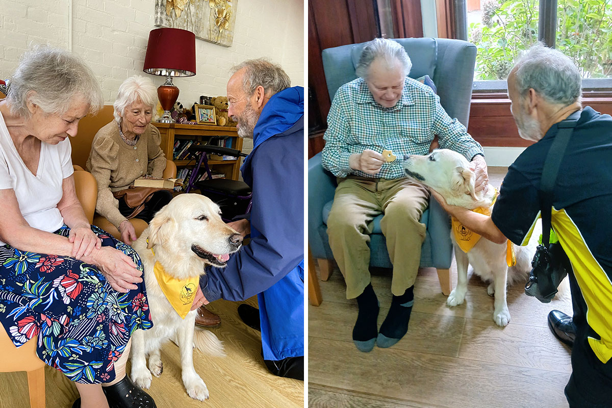 The Old Downs Residential Care Home residents spending time with Pet Therapy dog Daisy the golden retriever.