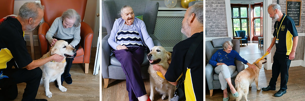 Daisy the golden retriever and her owner David visiting The Old Downs Residential Care Home.