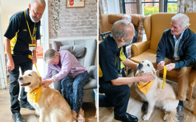 The Old Downs Residential Care Home residents enjoying a visit from Daisy the golden retriever and her owner David.
