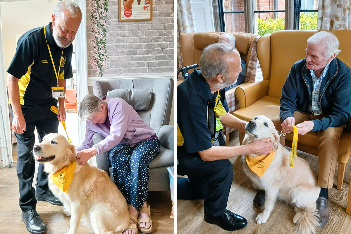 Cuddles with Daisy at The Old Downs Residential Care Home